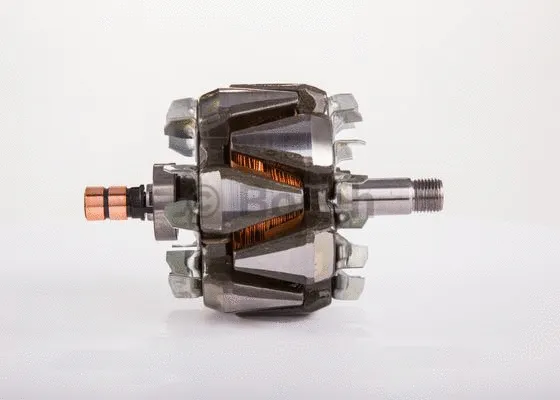 Rotor, alternator