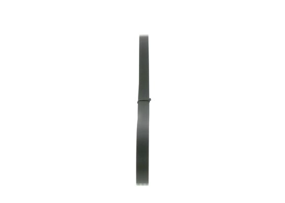 V-Ribbed Belt