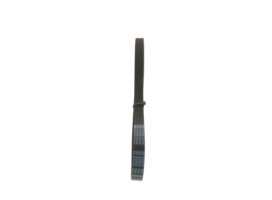 V-Ribbed Belt