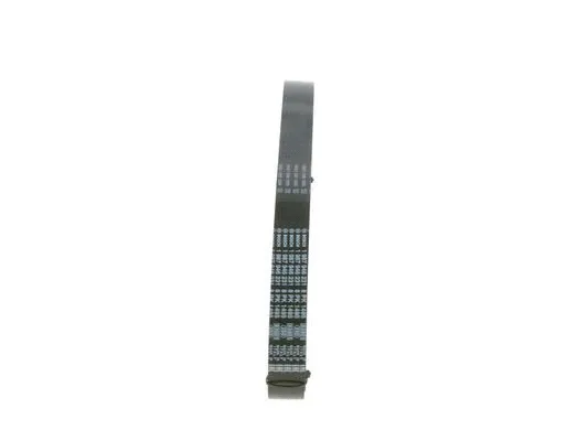 V-Ribbed Belt (1 987 946 231)