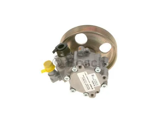 Hydraulic Pump, steering (K S00 000 138)
