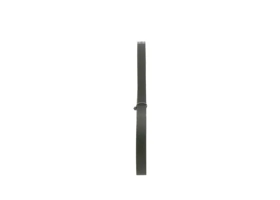 V-Ribbed Belt