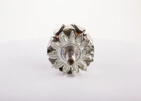 Rotor, alternator