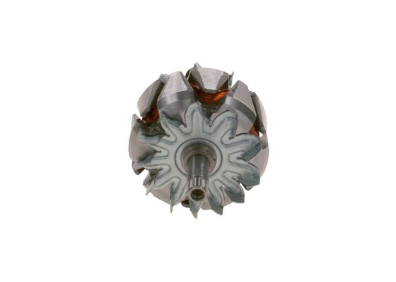 Rotor, alternator