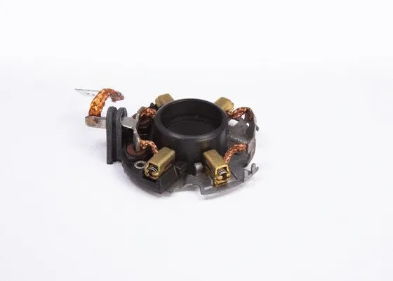 Holder, carbon brushes