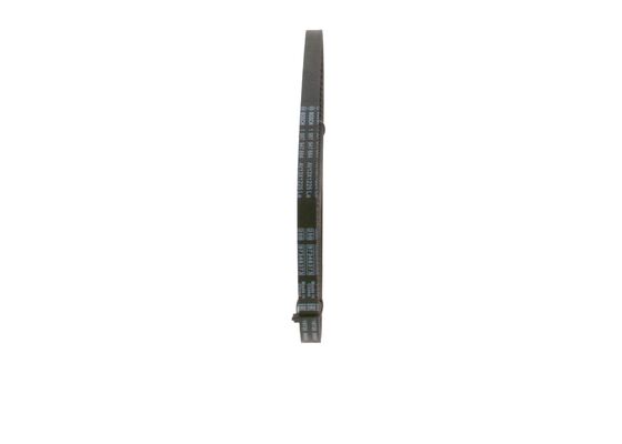 V-Belt