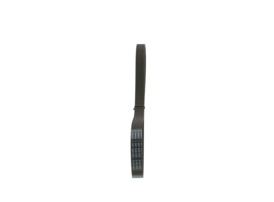 V-Ribbed Belt