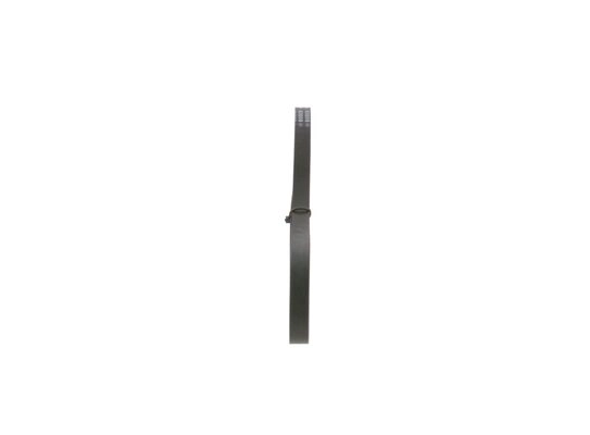 V-Ribbed Belt (1 987 948 302)