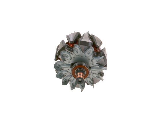 Rotor, alternator