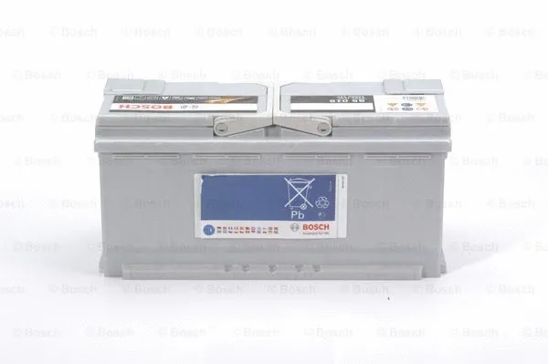 Starter Battery
