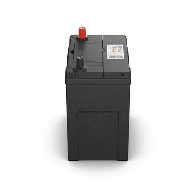 Starter Battery