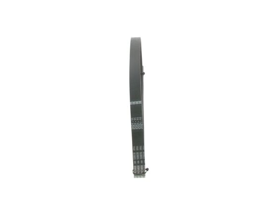 V-Ribbed Belt