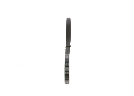 V-Belt