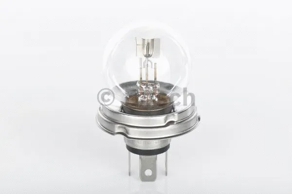 Bulb (1 987 302 023)