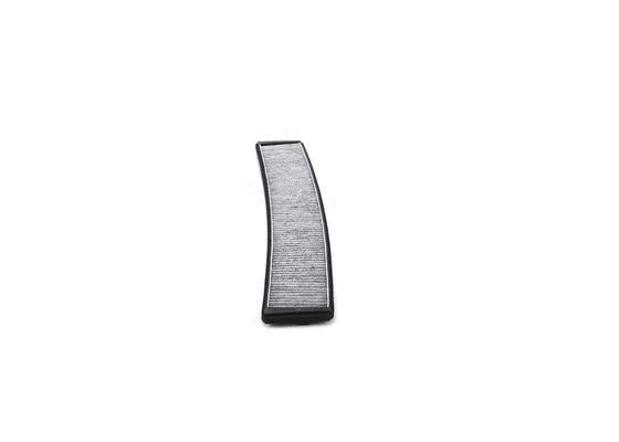 Filter, cabin air (0 986 AF5 605)