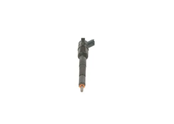 Injector Nozzle (0 445 110 498)
