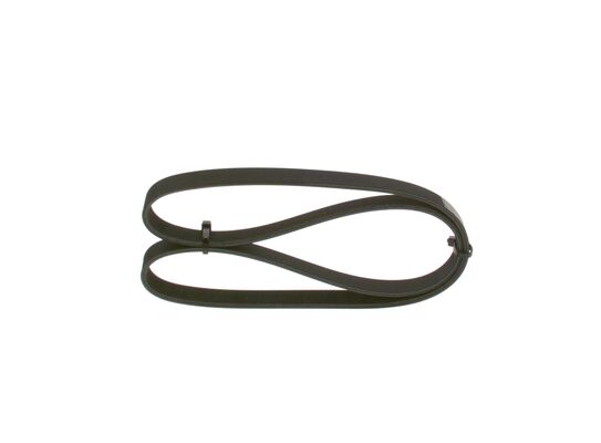 V-Ribbed Belt