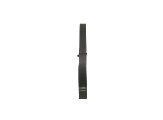 V-Ribbed Belt
