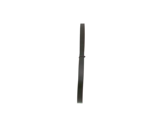 V-Ribbed Belt