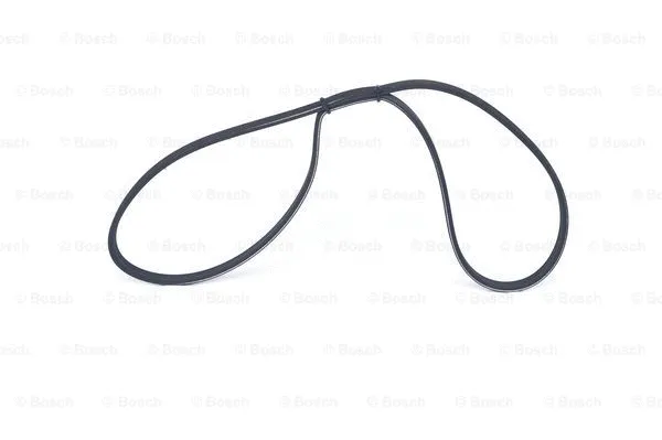 V-Ribbed Belt