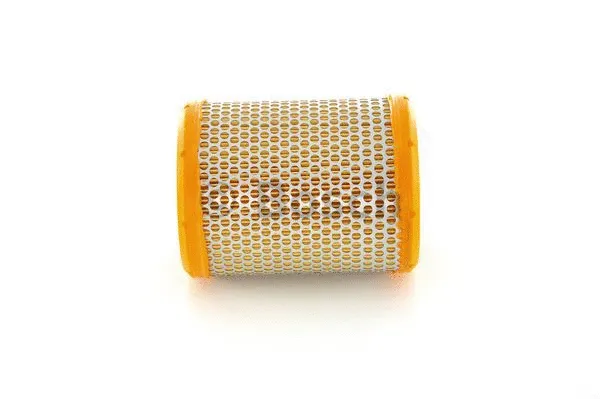 Air Filter (1 457 433 227)