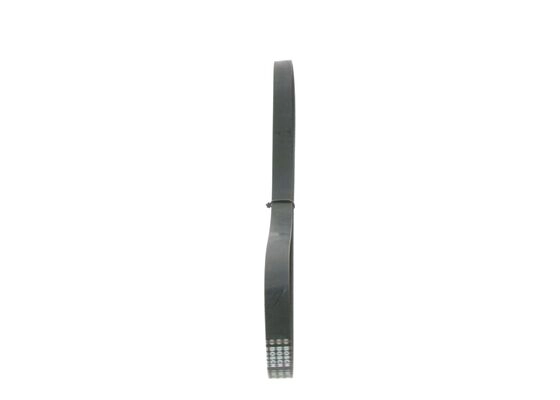 V-Ribbed Belt