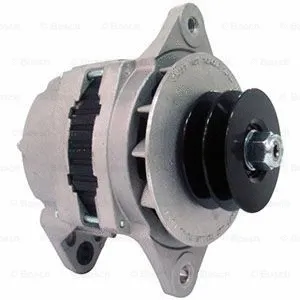 Alternator (F 042 300 064)