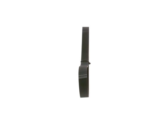 V-Ribbed Belt
