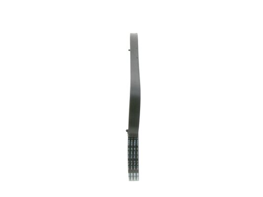 V-Ribbed Belt