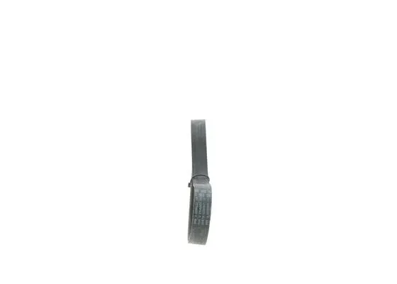 V-Ribbed Belt (1 987 945 731)