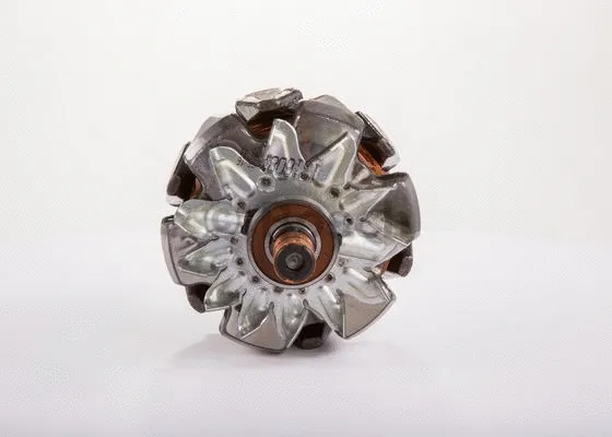 Rotor, alternator