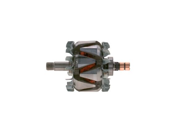 Rotor, alternator