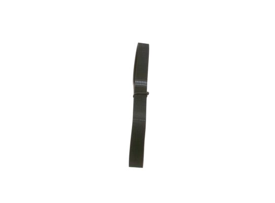 V-Ribbed Belt