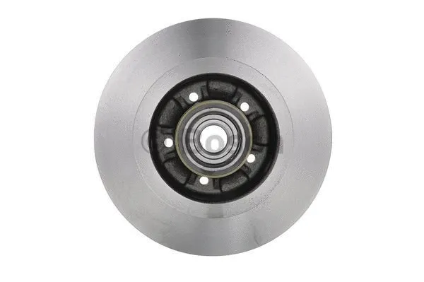 Brake Disc (0 986 479 273)