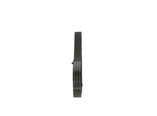 V-Ribbed Belt (1 987 948 440)
