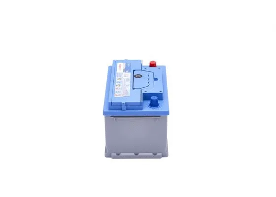Starter Battery