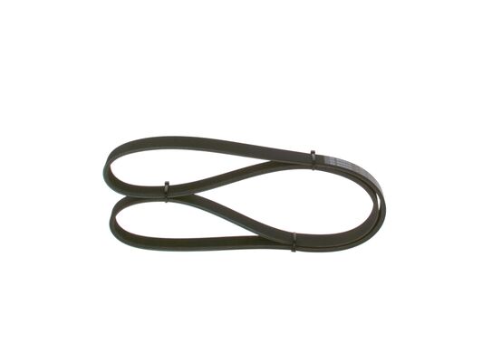 V-Ribbed Belt (1 987 948 494)