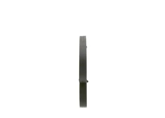 V-Ribbed Belt (1 987 946 291)