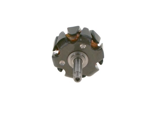 Rotor, alternator