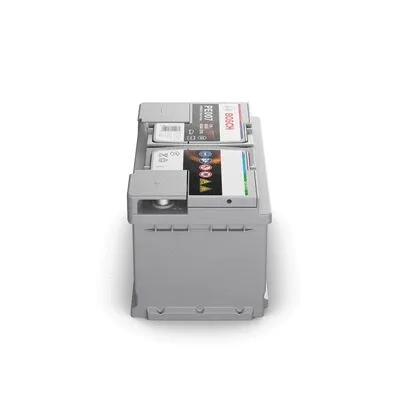 Starter Battery