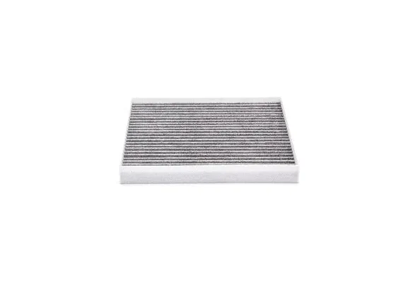 Filter, cabin air (0 986 AF5 203)