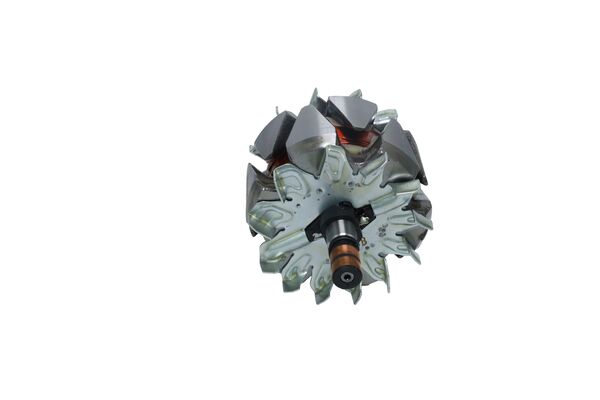 Rotor, alternator