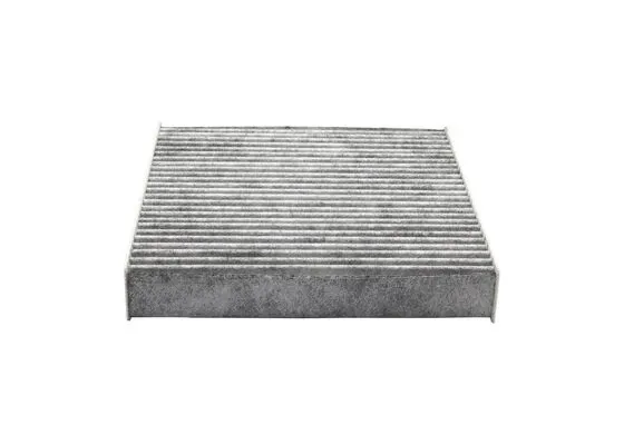 Filter, cabin air (0 986 AF5 861)