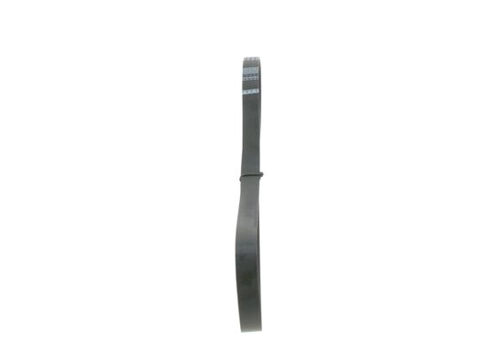 V-Ribbed Belt