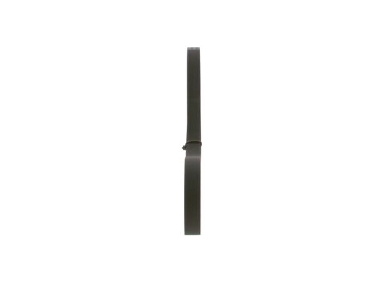 V-Ribbed Belt