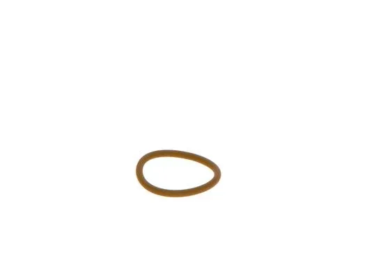 Seal Ring
