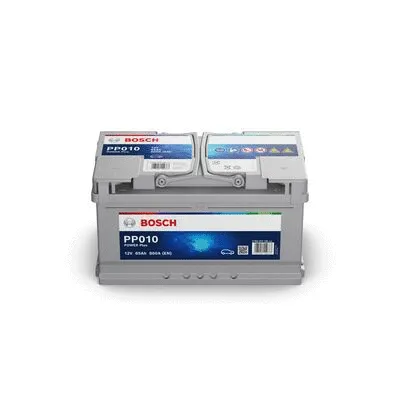 Starter Battery