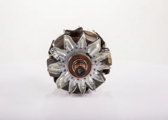 Rotor, alternator