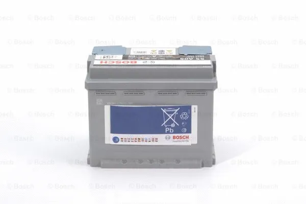Starter Battery