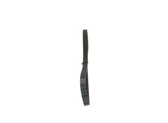 V-Ribbed Belt
